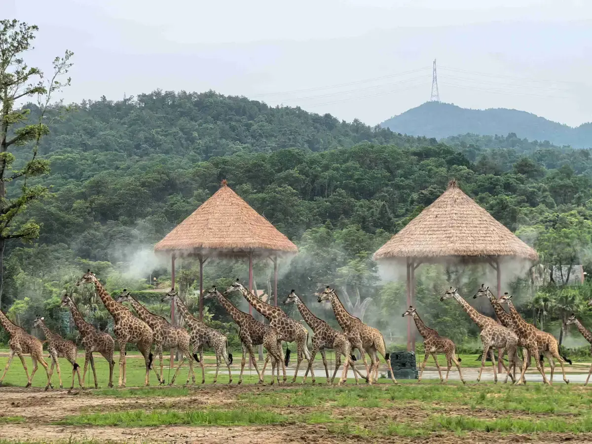 Moment from Forest Kingdom