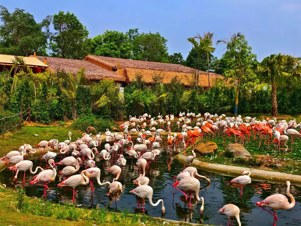 Moment from Forest Kingdom