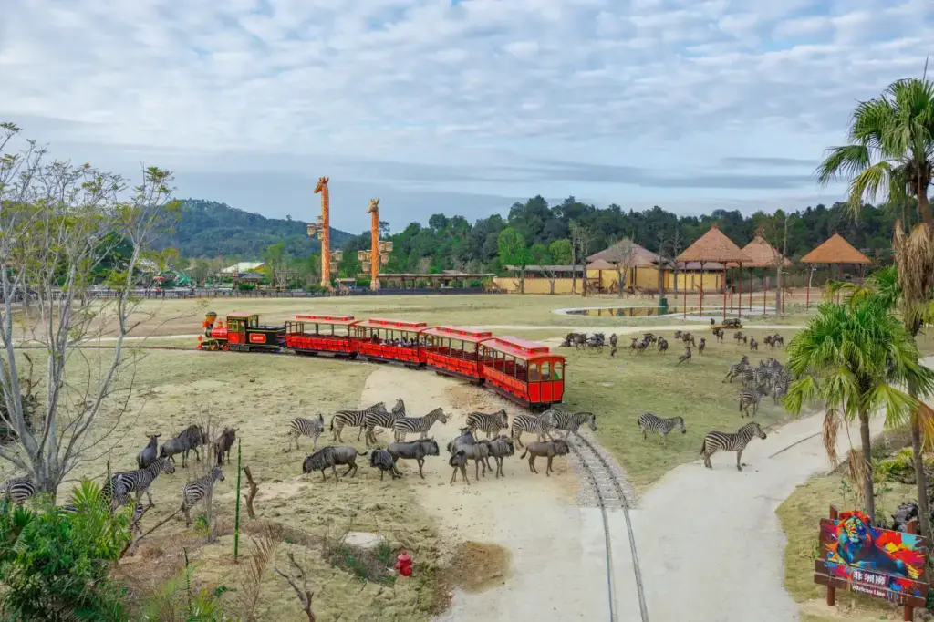 🚄 How to Get to Qingyuan Chimelong from Guangzhou: The Complete Transit Guide 🚗