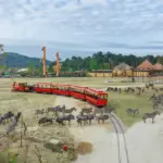 🚄 How to Get to Qingyuan Chimelong from Guangzhou: The Complete Transit Guide 🚗
