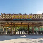 🎟️ The Ultimate Ticket Guide to Qingyuan Chimelong Forest Kingdom: Single Day, 2-Day Combo, or Annual Pass?