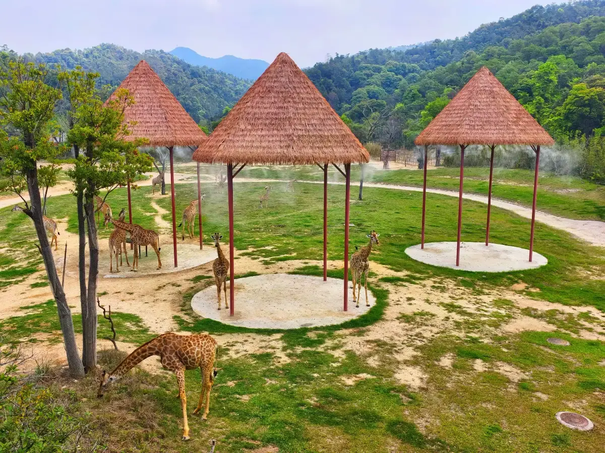 Moment from Forest Kingdom