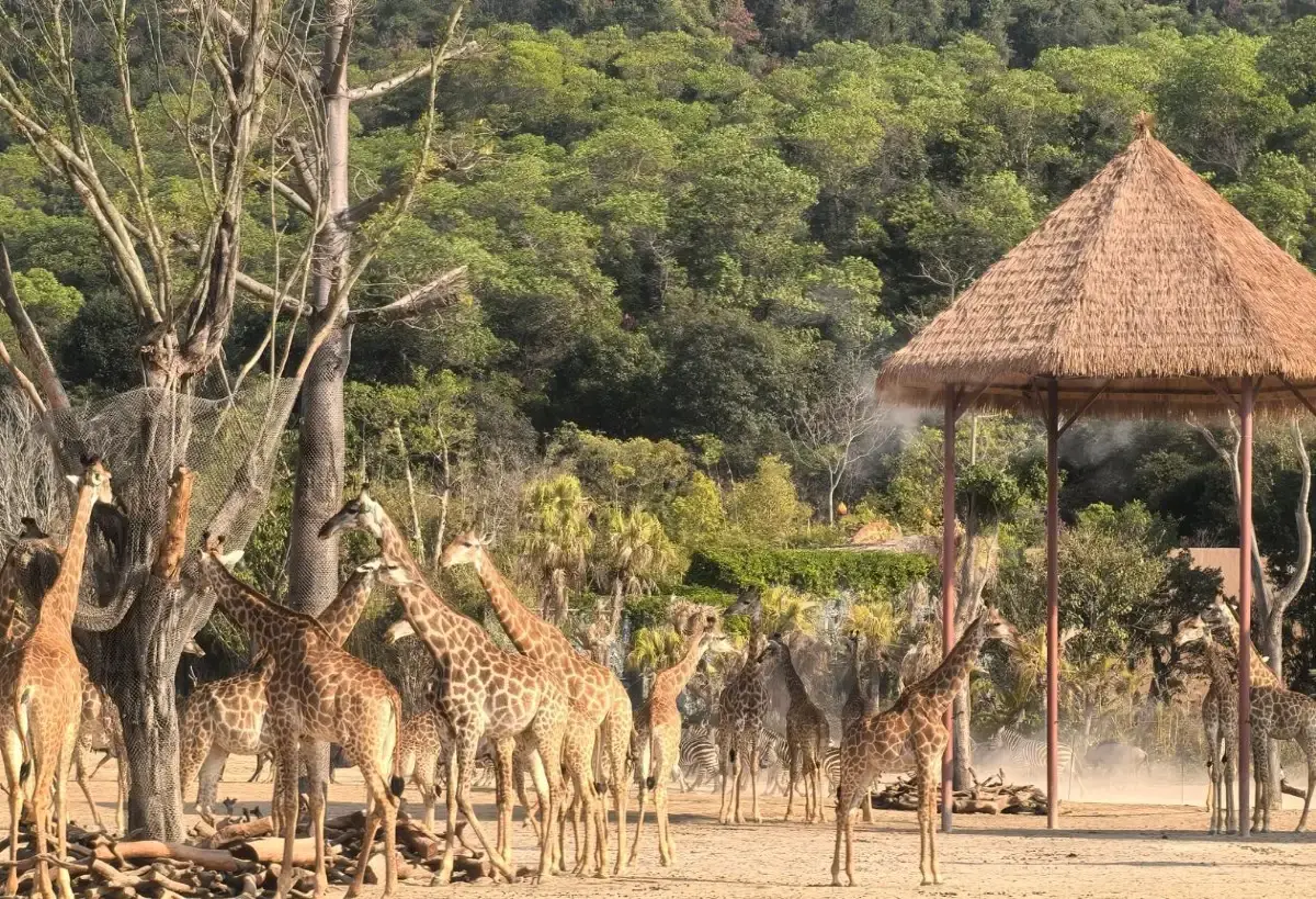 Moment from Forest Kingdom